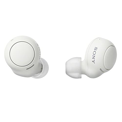 Sony WF-C500 True Wireless...
