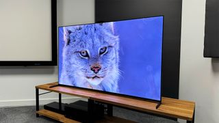 The Sony A95L TV on a TV stand. On screen is a snow leopard's face from the Our Planet II Netflix documentary.